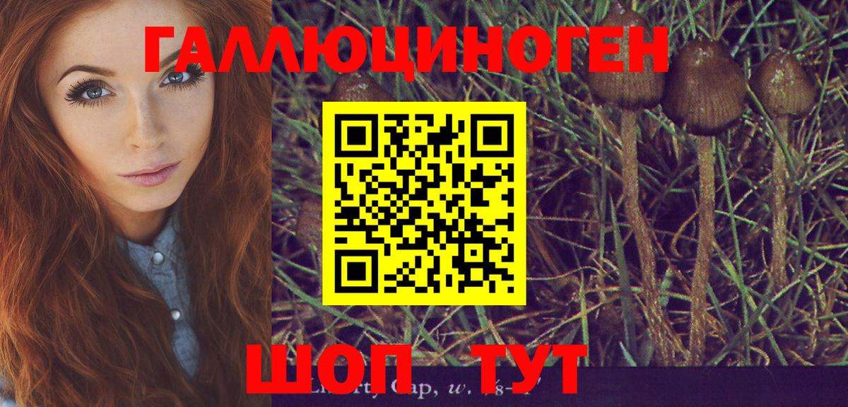 Alpha-PVP Каменск-Шахтинский